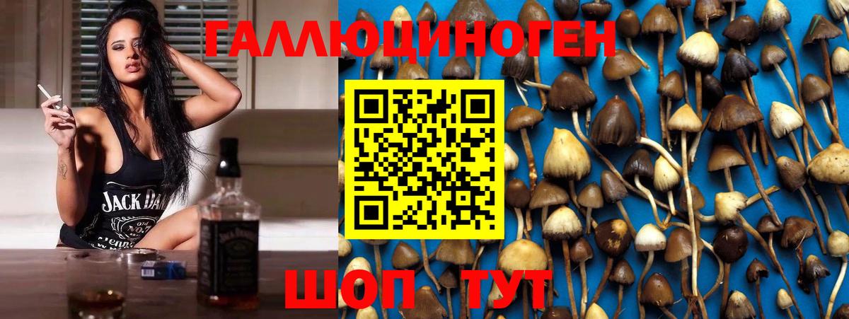Псилоцибиновые грибы мухоморы  Вход с VPN  Псилоцибиновые грибы Psilocybine cubensis  что такое   Нижний Новгород 
